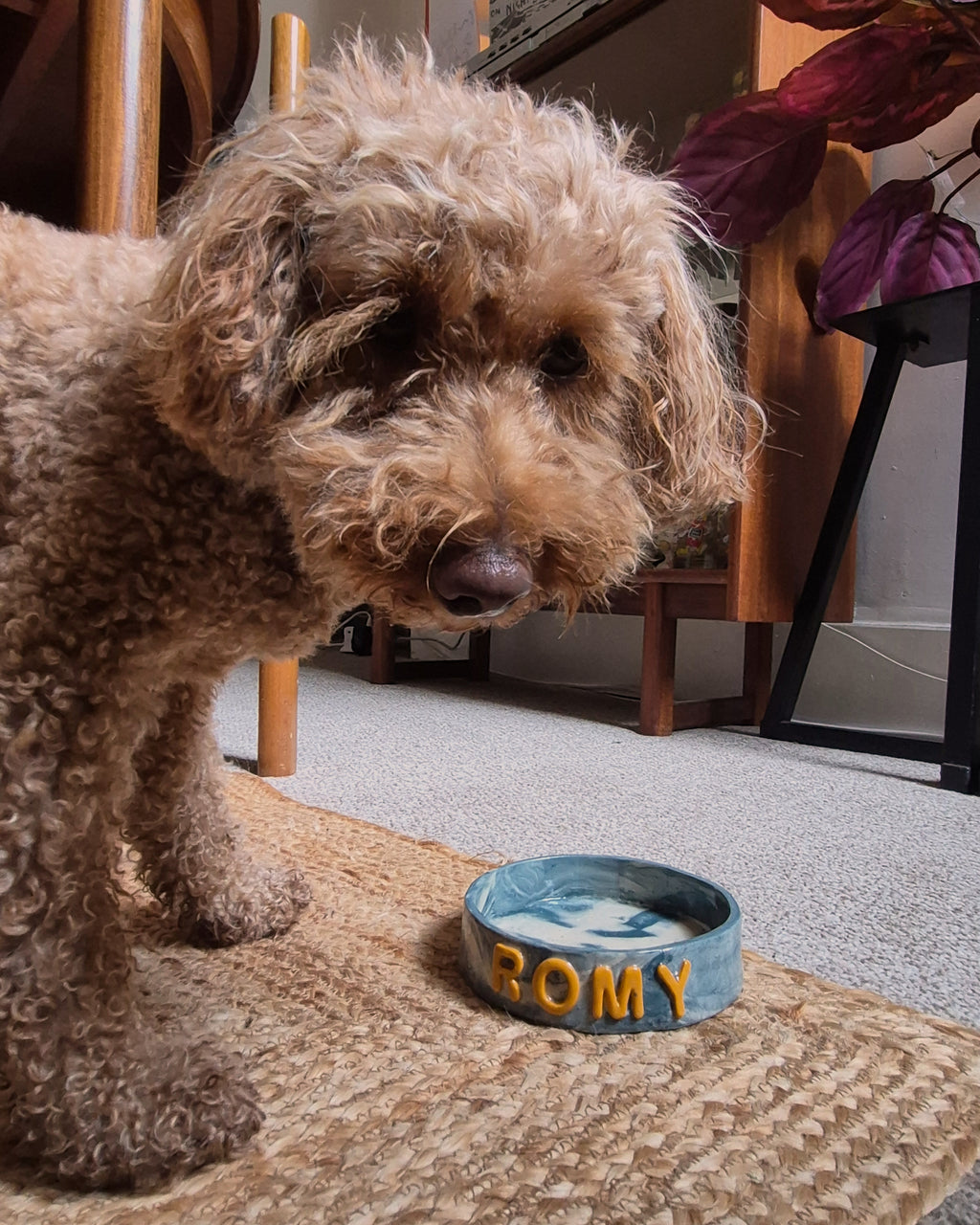Marbled Pet Bowls